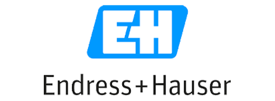Endress+Hauser
